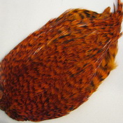 ������ ������ Indian cape  grizzly orange